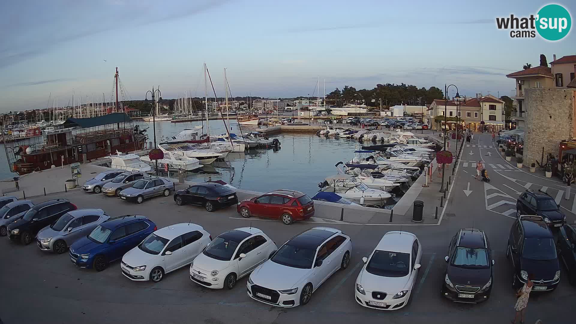 Novigrad | Porporela marina