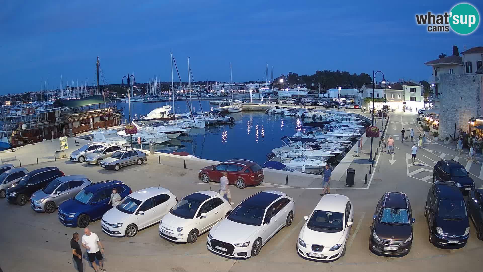 Novigrad | Porporela marina