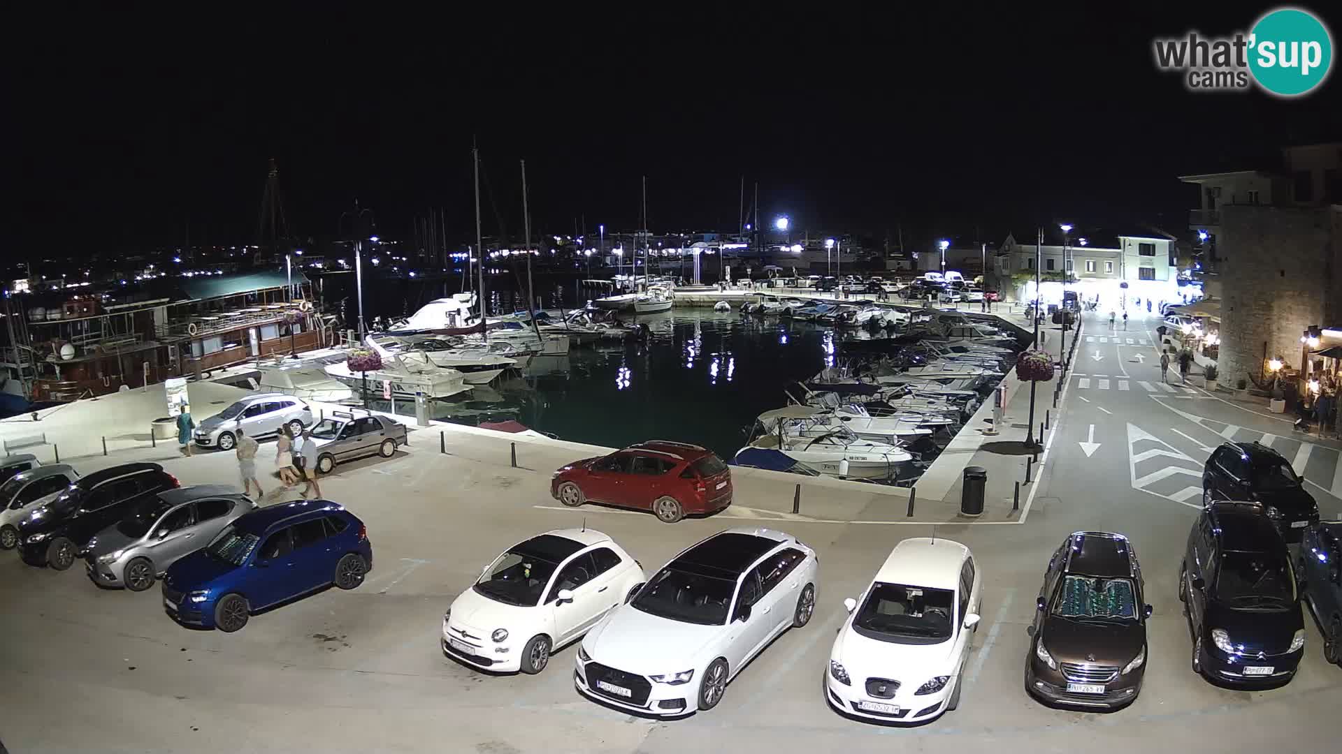 Novigrad | Porporela marina