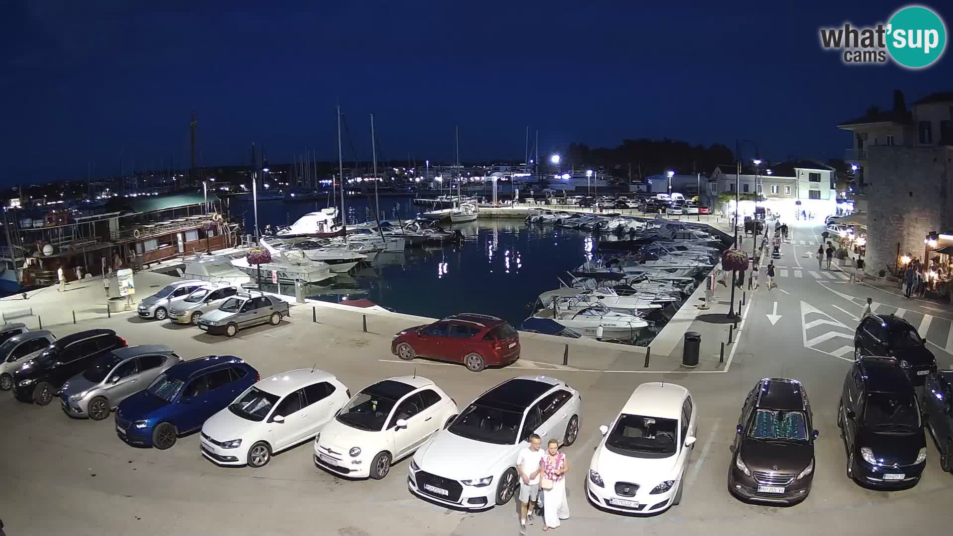 Novigrad | Porporela marina