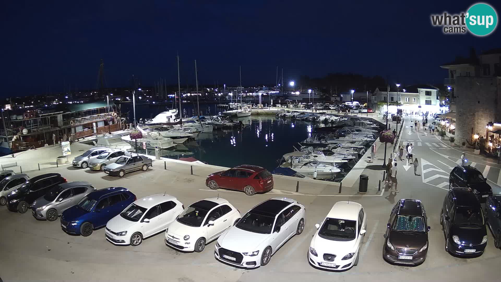 Novigrad | Porporela marina