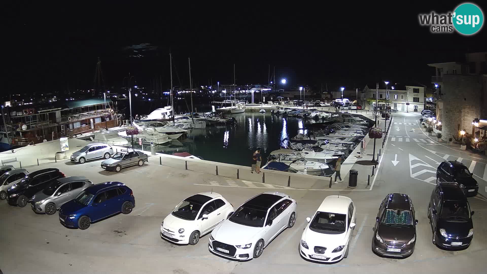 Novigrad | Porporela marina