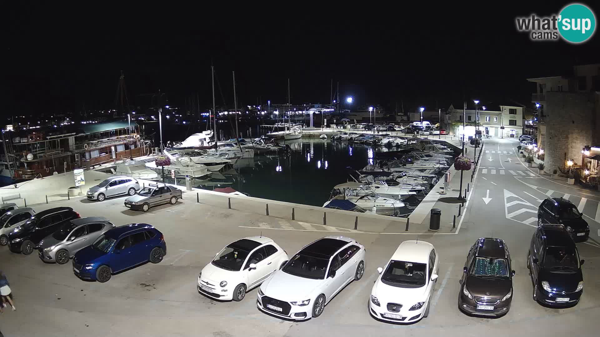 Novigrad | Porporela marina
