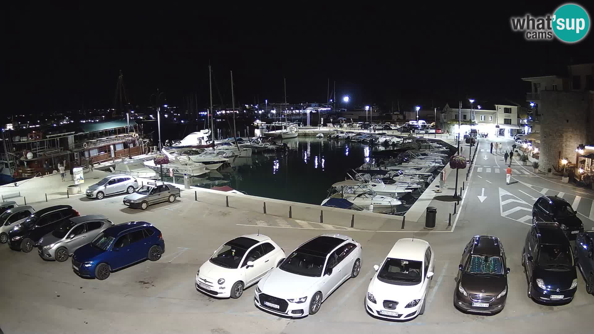 Novigrad | Porporela marina