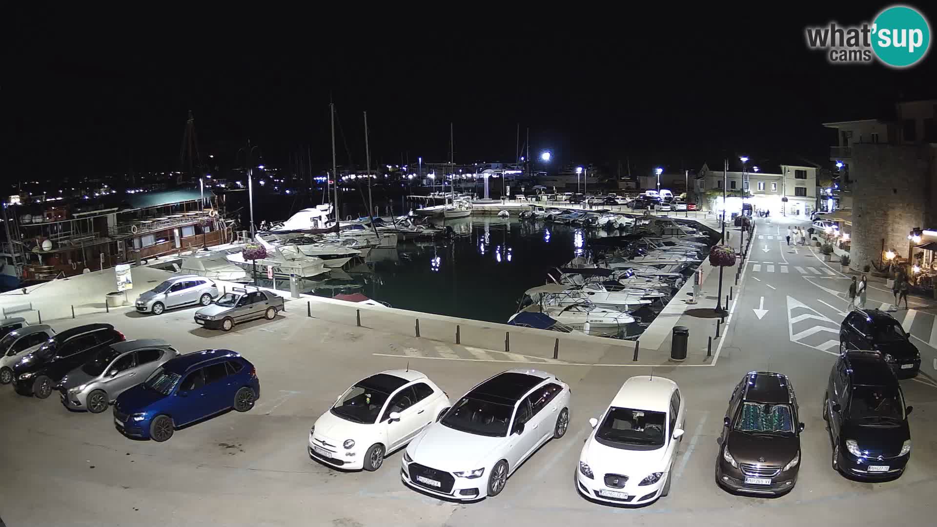 Novigrad | Porporela marina