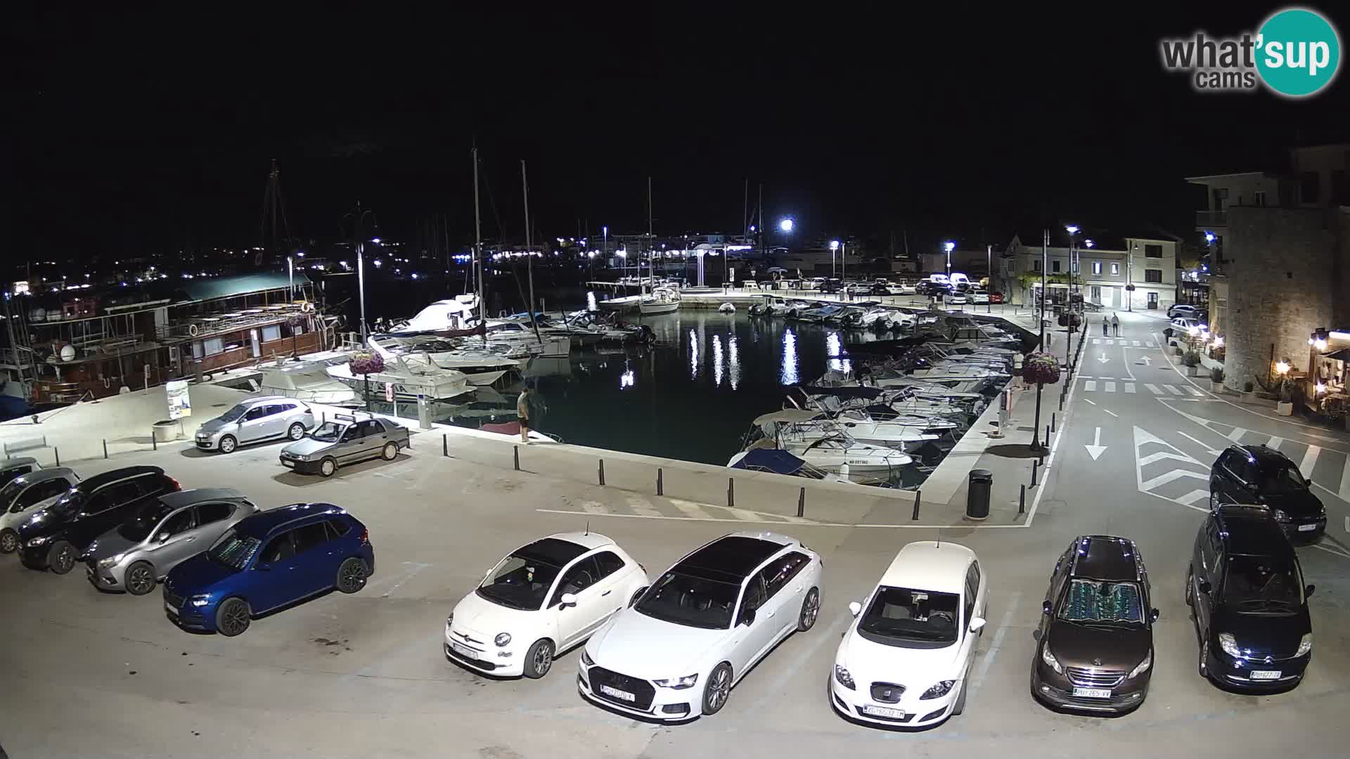 Novigrad | Porporela marina