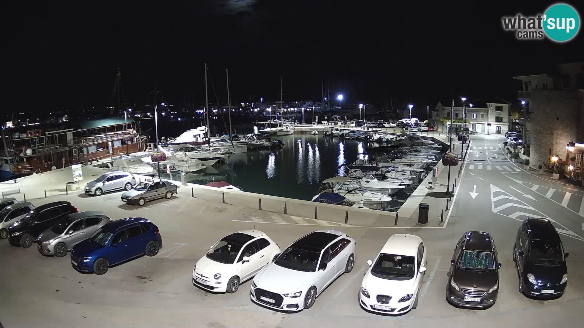 Novigrad | Porporela marina
