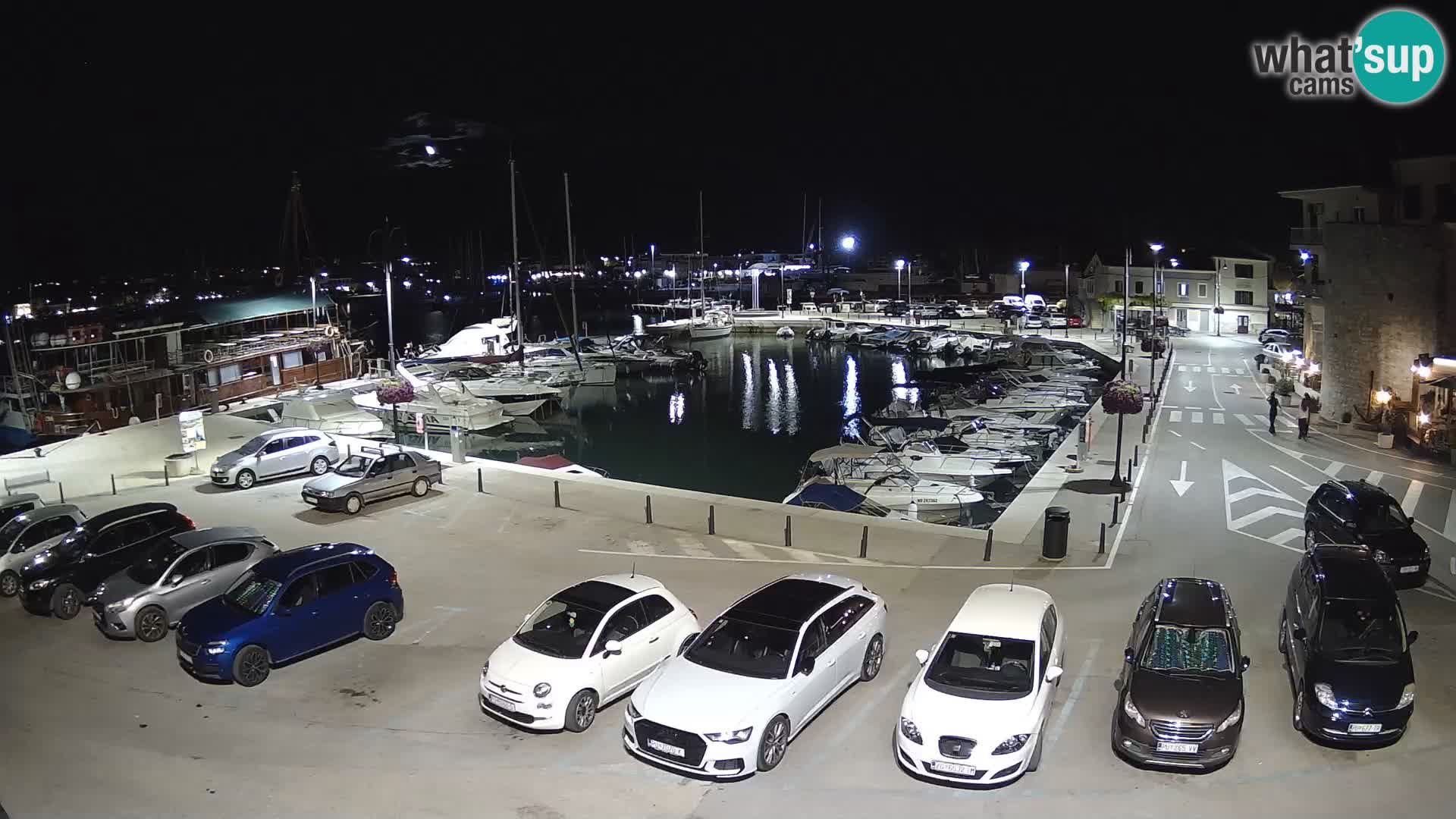Novigrad | Porporela marina