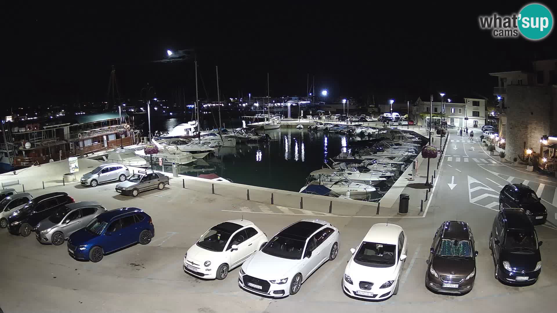 Novigrad | Porporela marina