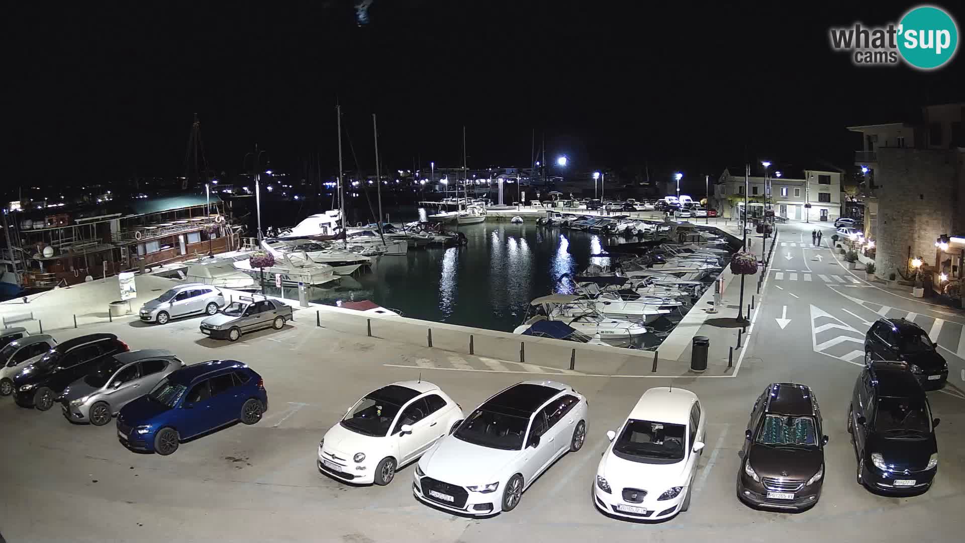 Novigrad | Porporela marina