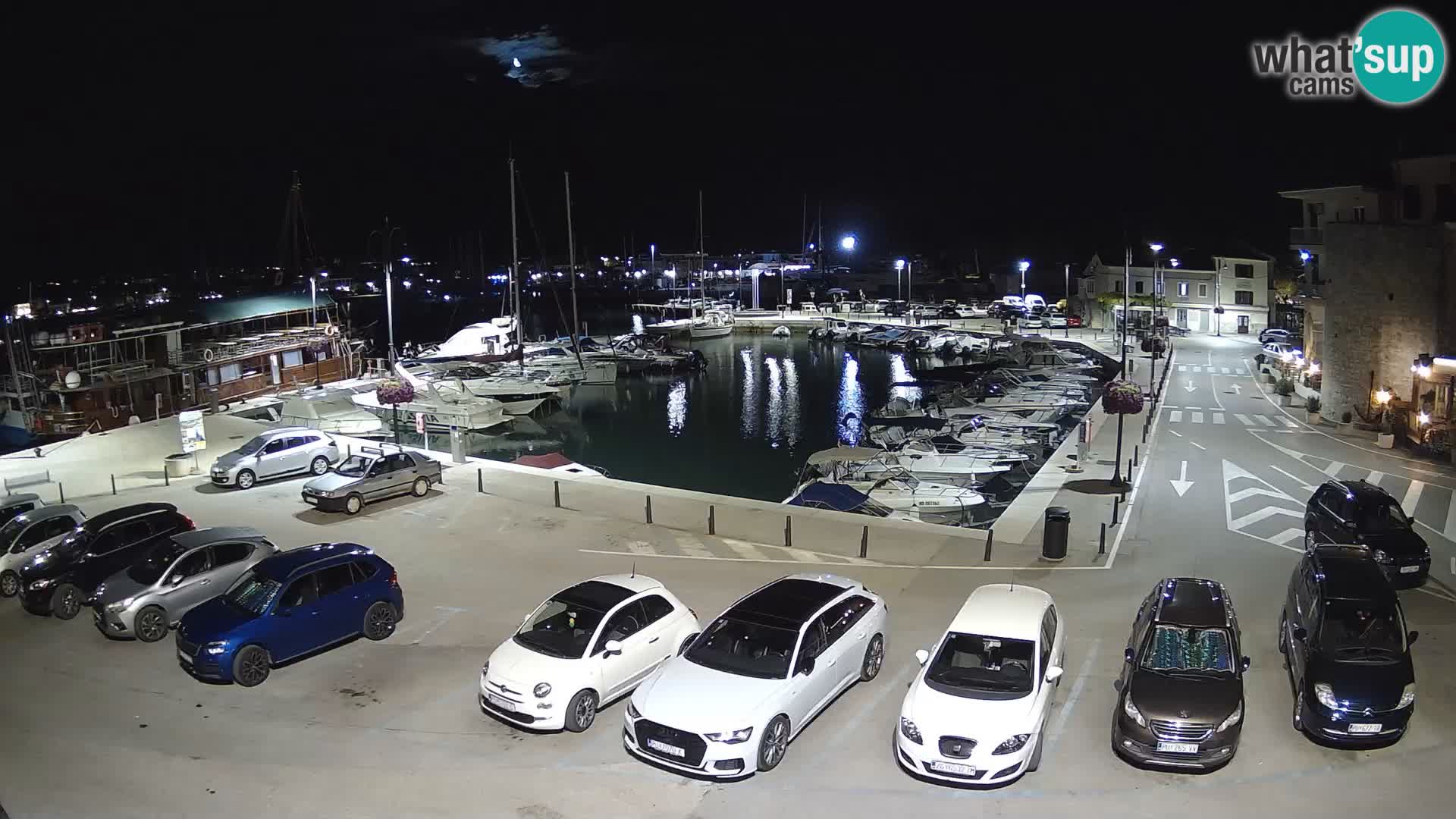 Novigrad | Porporela marina