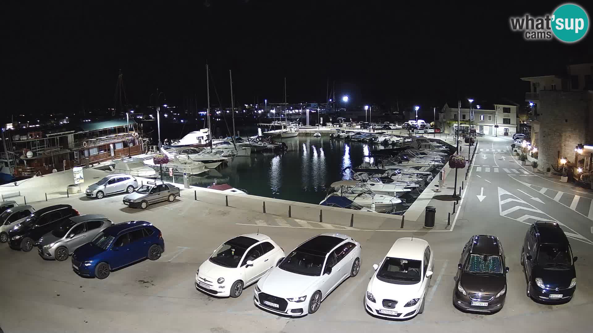 Novigrad | Porporela marina