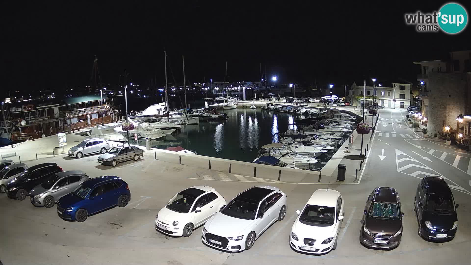 Novigrad | Porporela marina