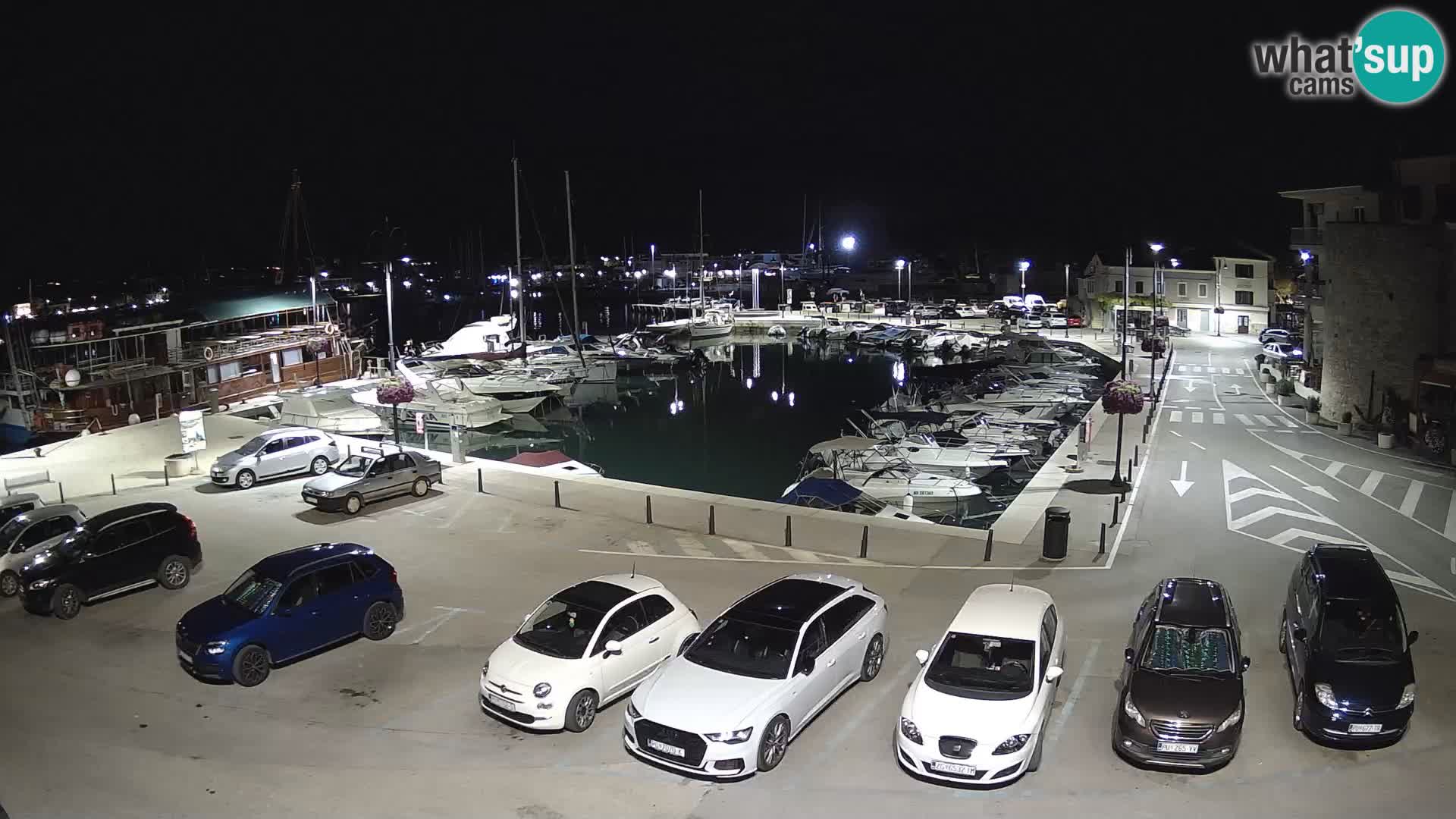 Novigrad | Porporela marina