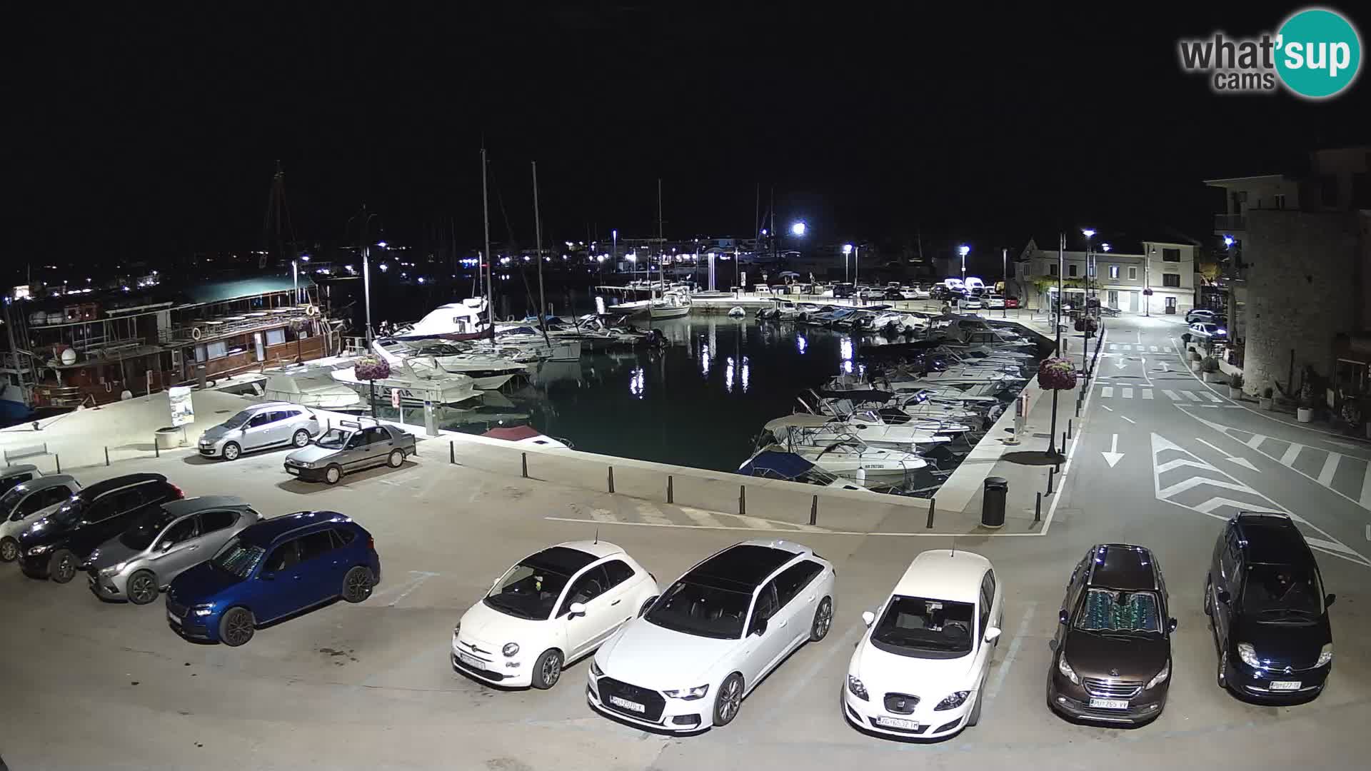 Novigrad | Porporela marina