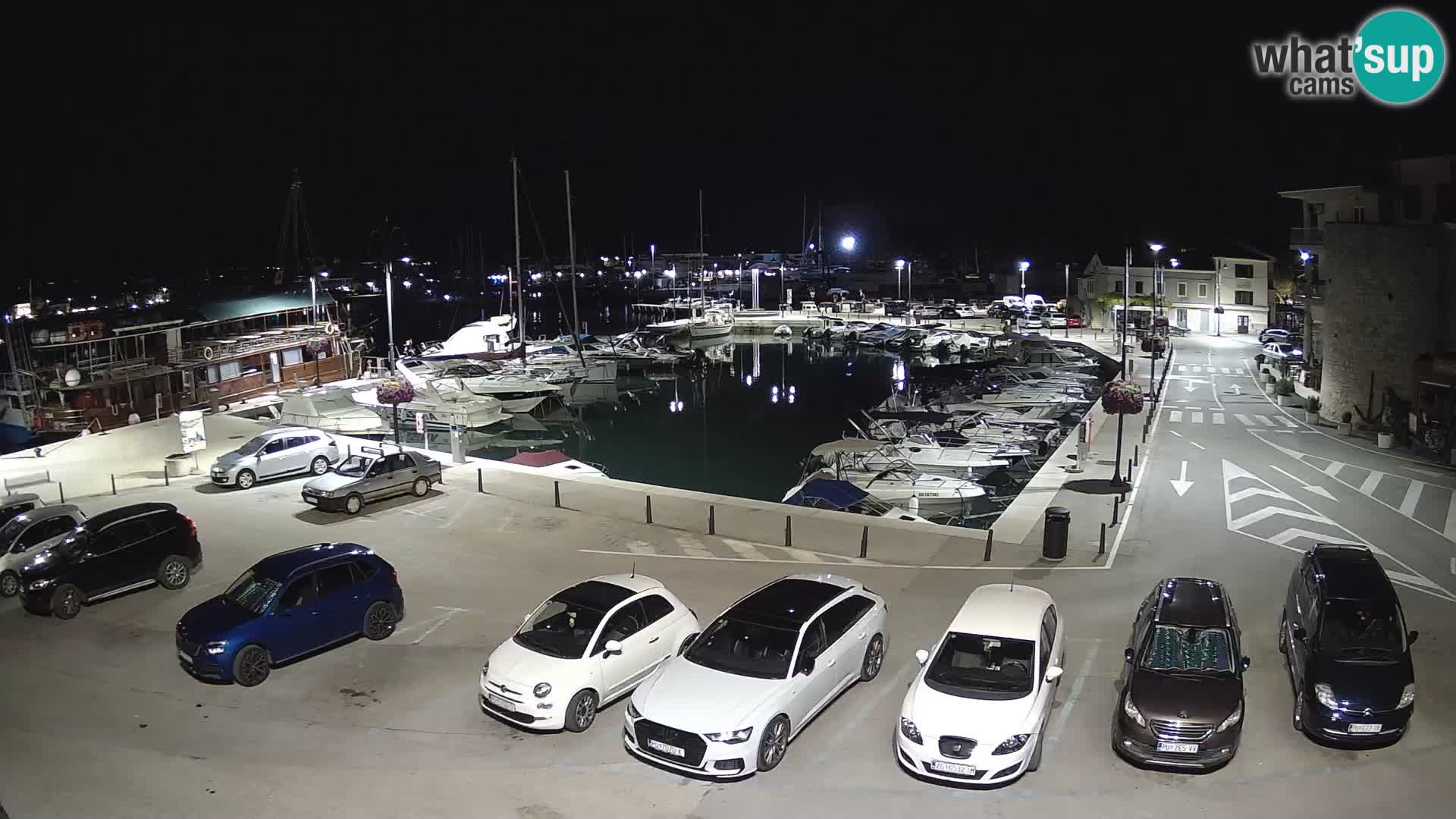 Novigrad | Porporela marina