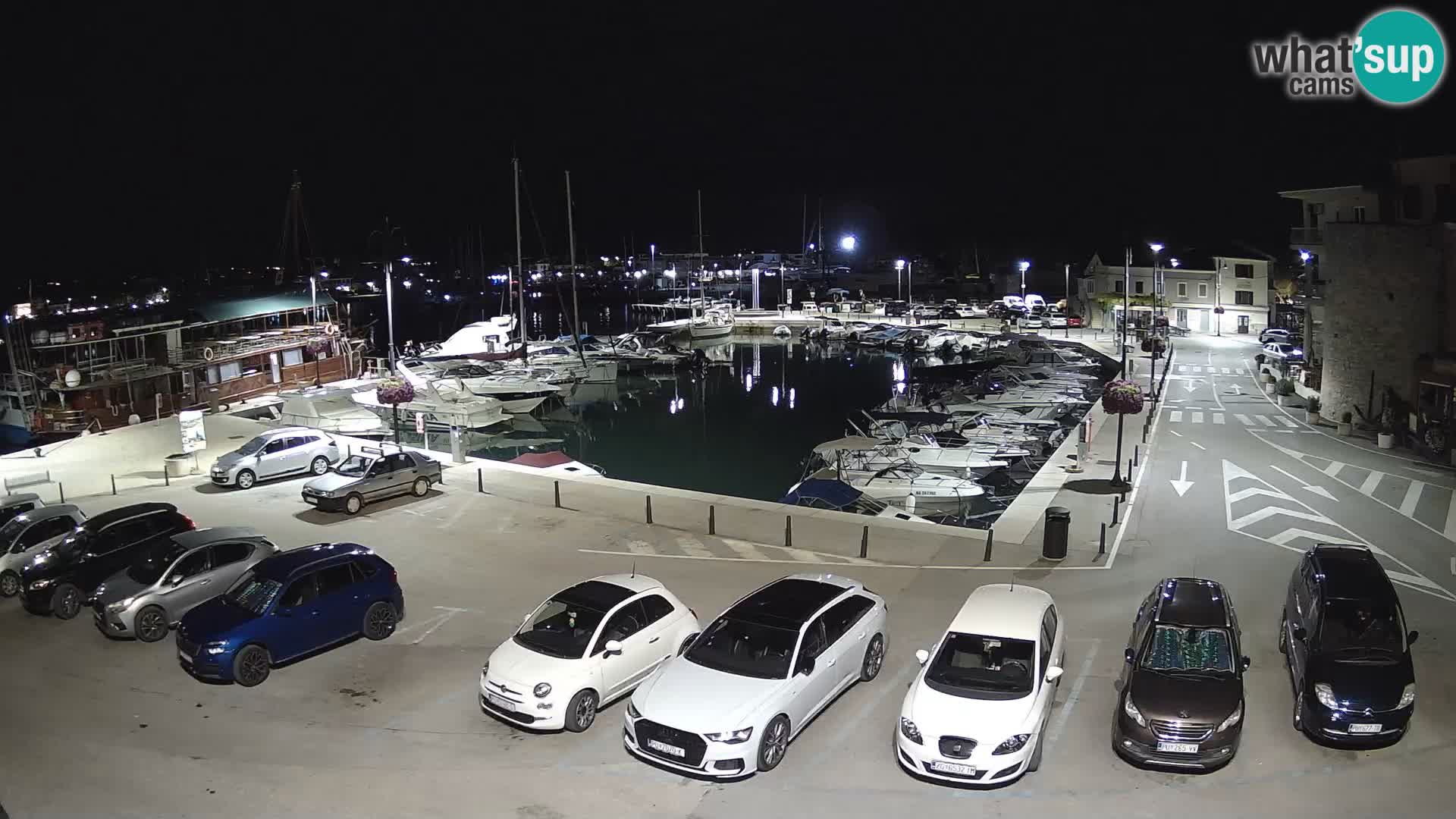 Novigrad | Porporela marina