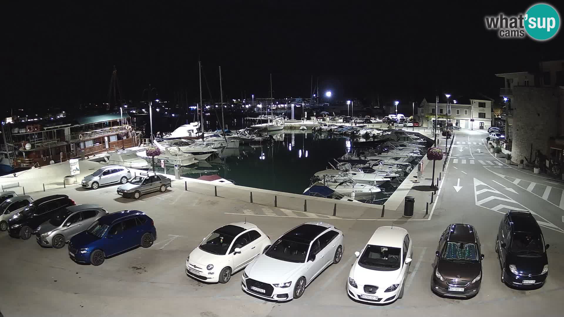 Novigrad | Porporela marina