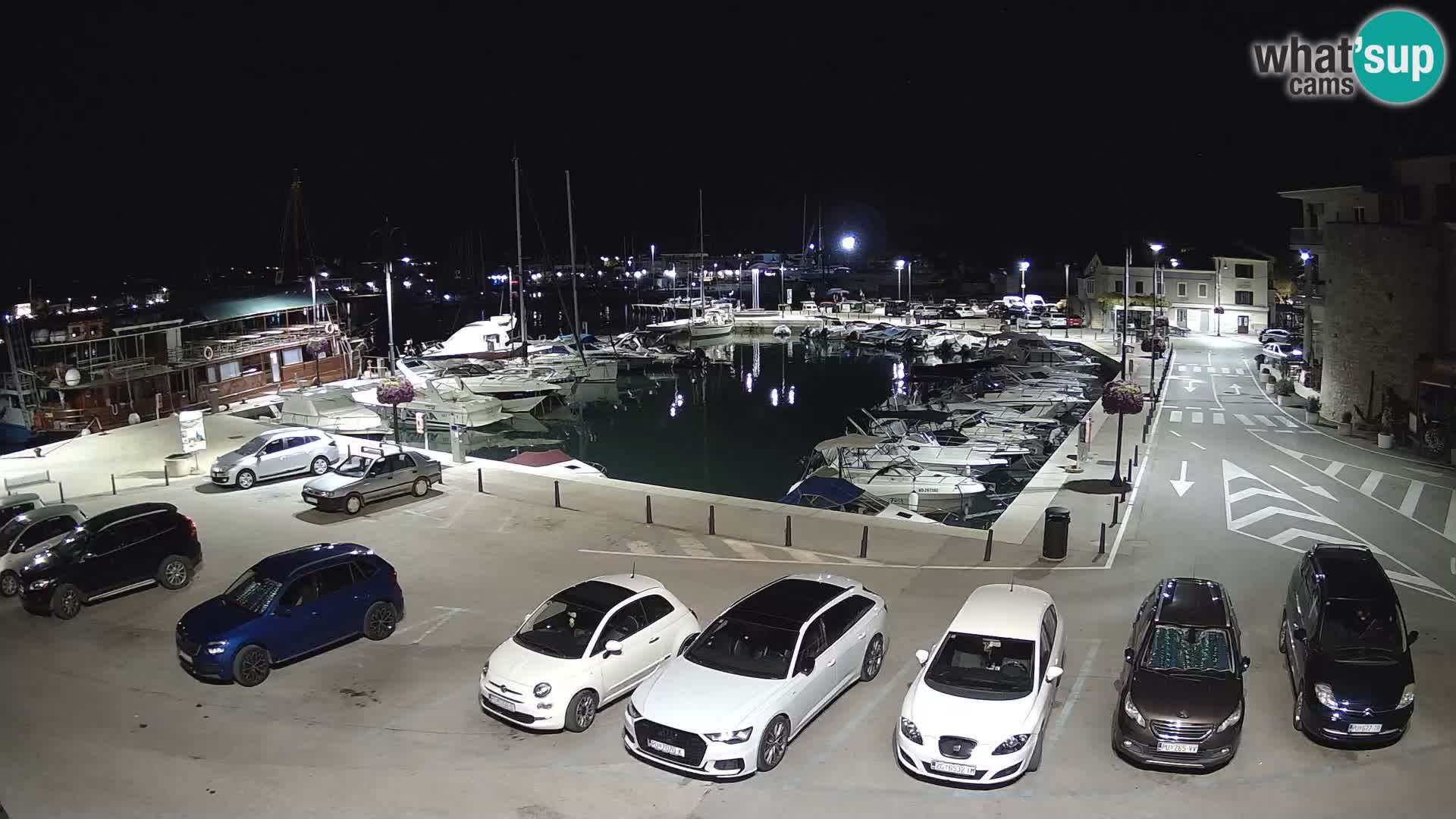Novigrad | Porporela marina