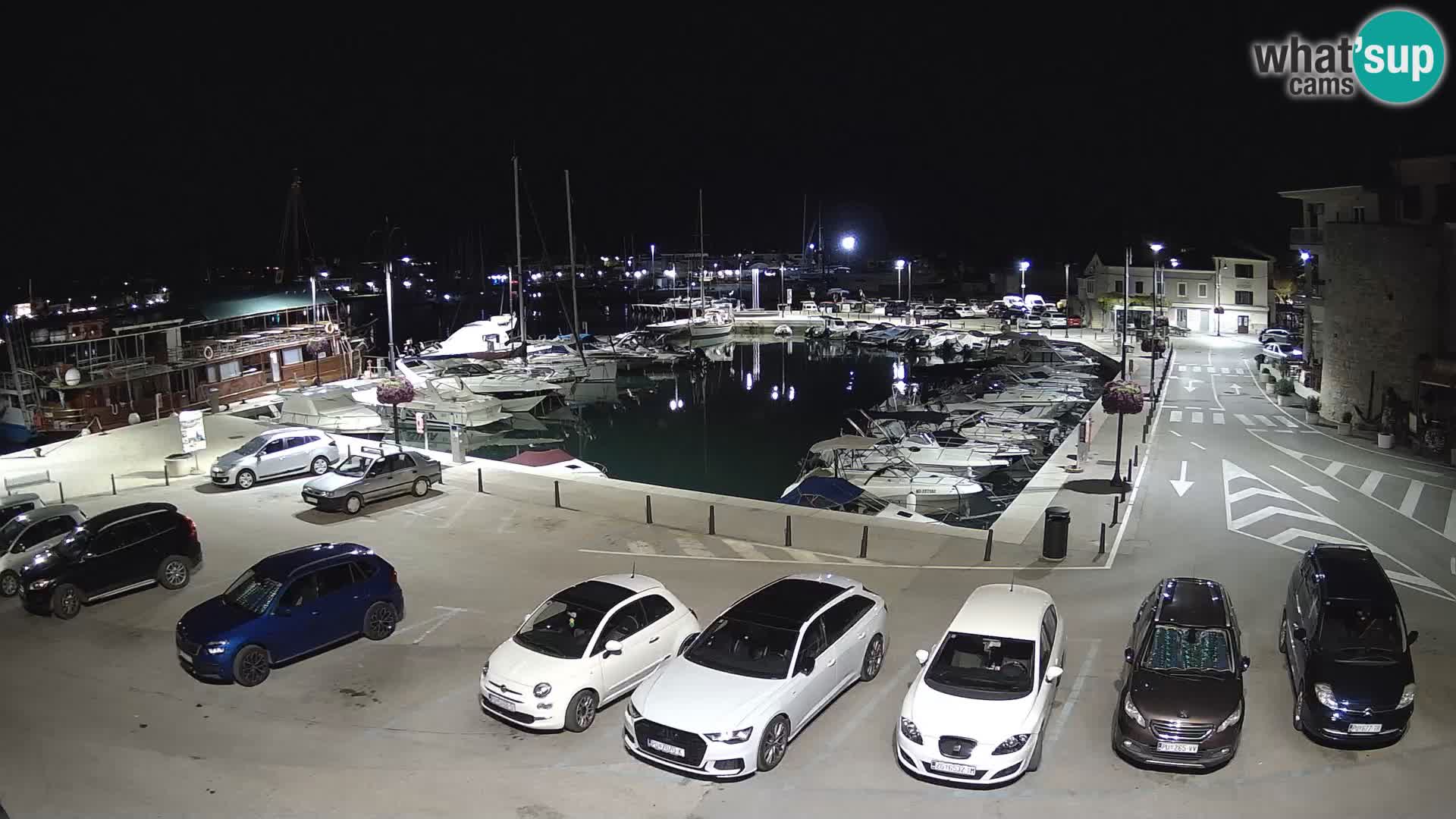 Novigrad | Porporela marina