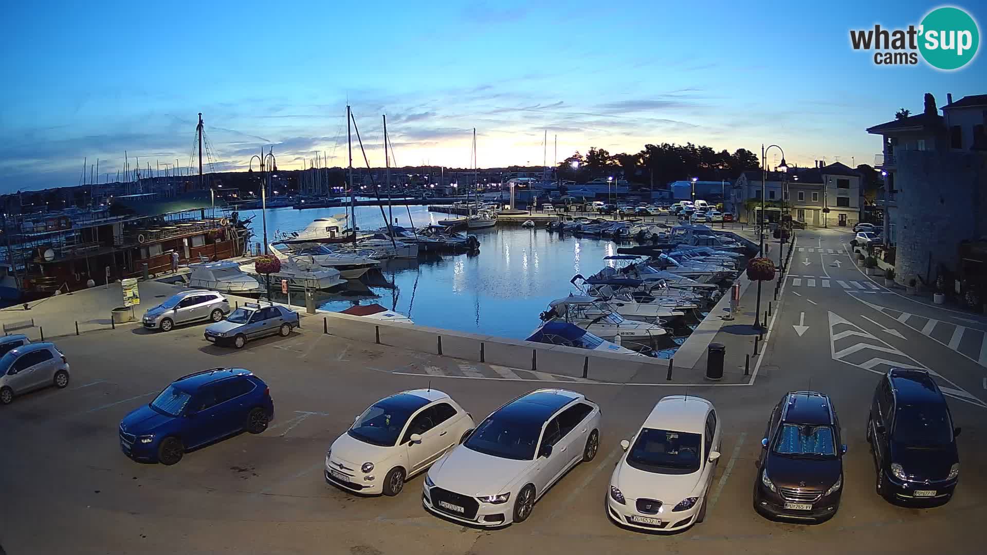 Novigrad | Porporela marina