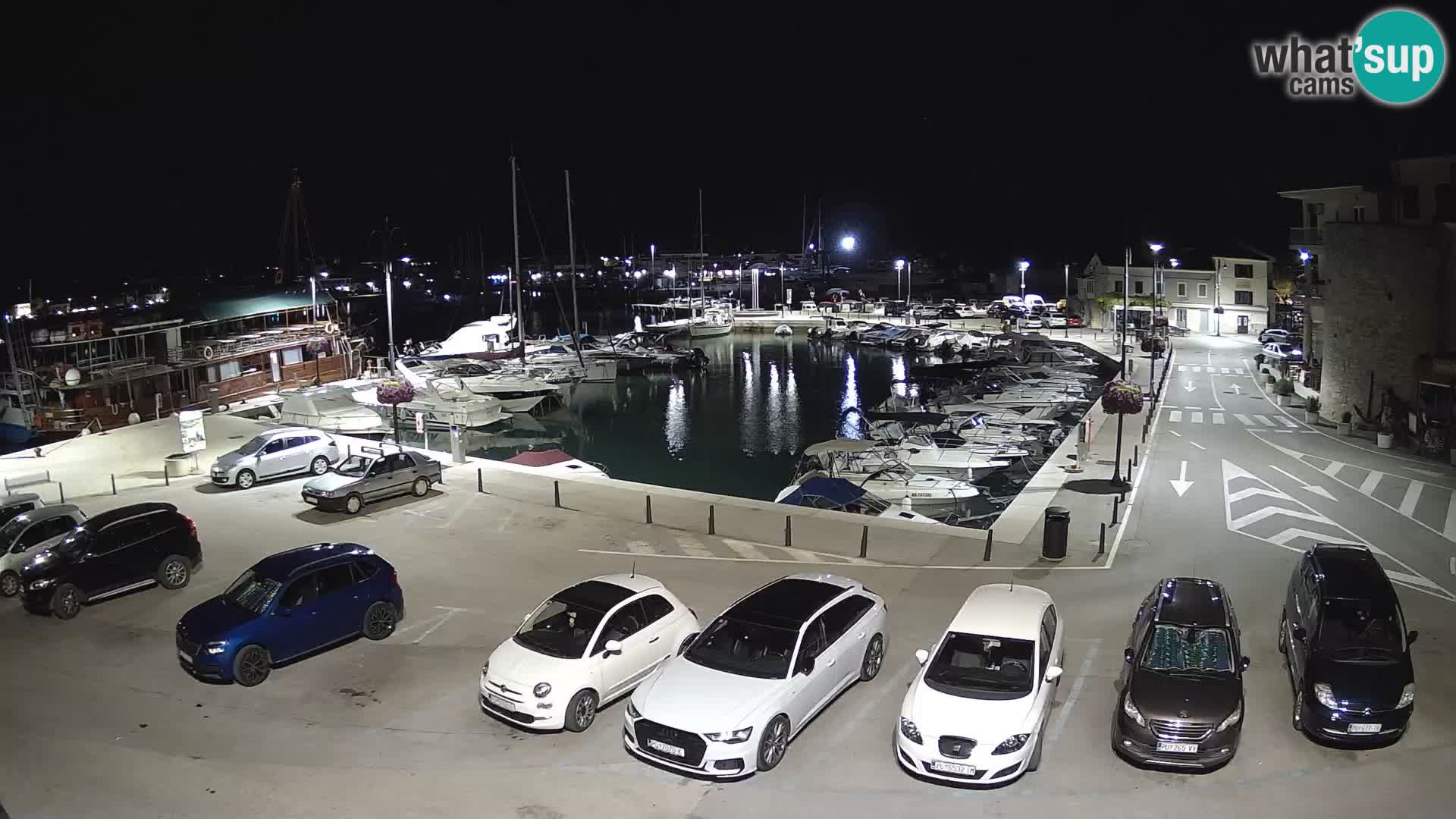 Novigrad | Porporela marina