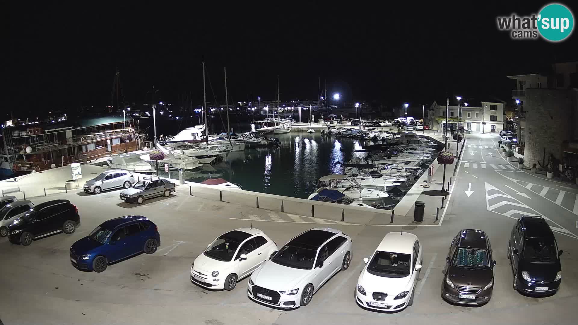Novigrad | Porporela marina
