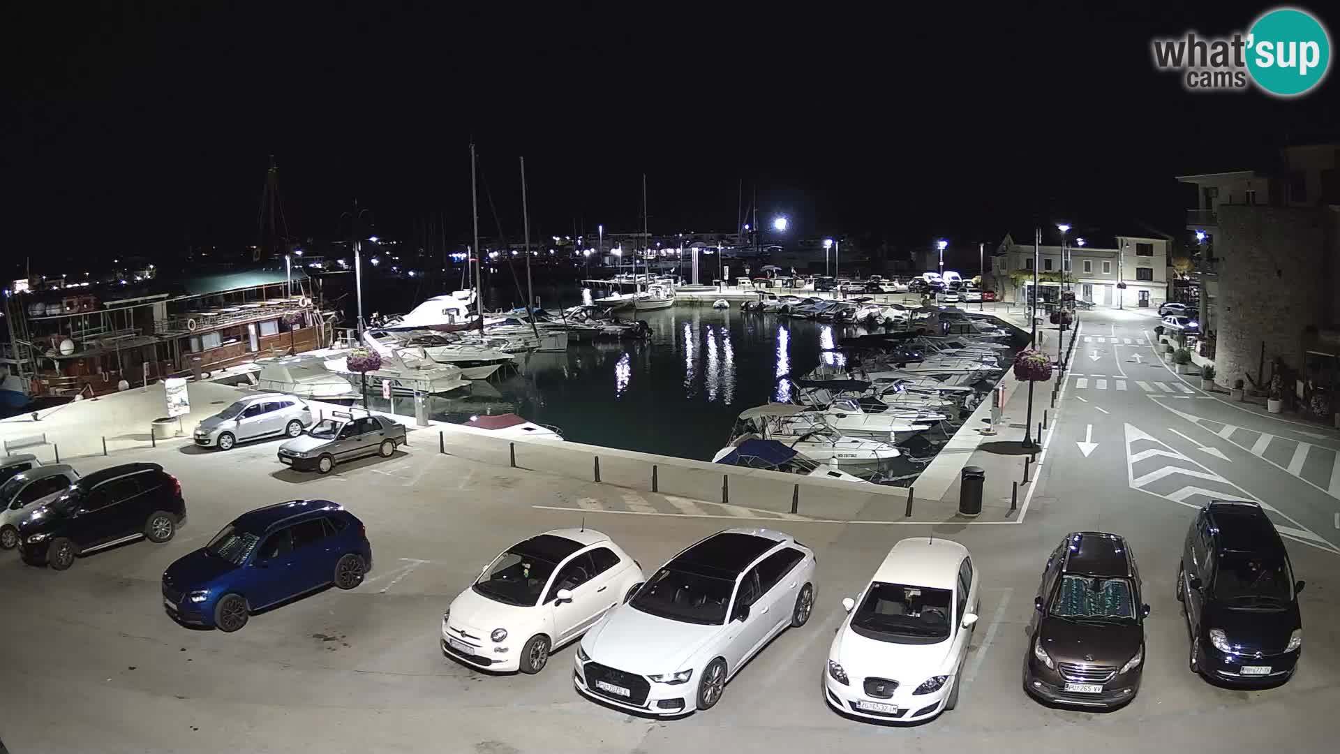 Novigrad | Porporela marina