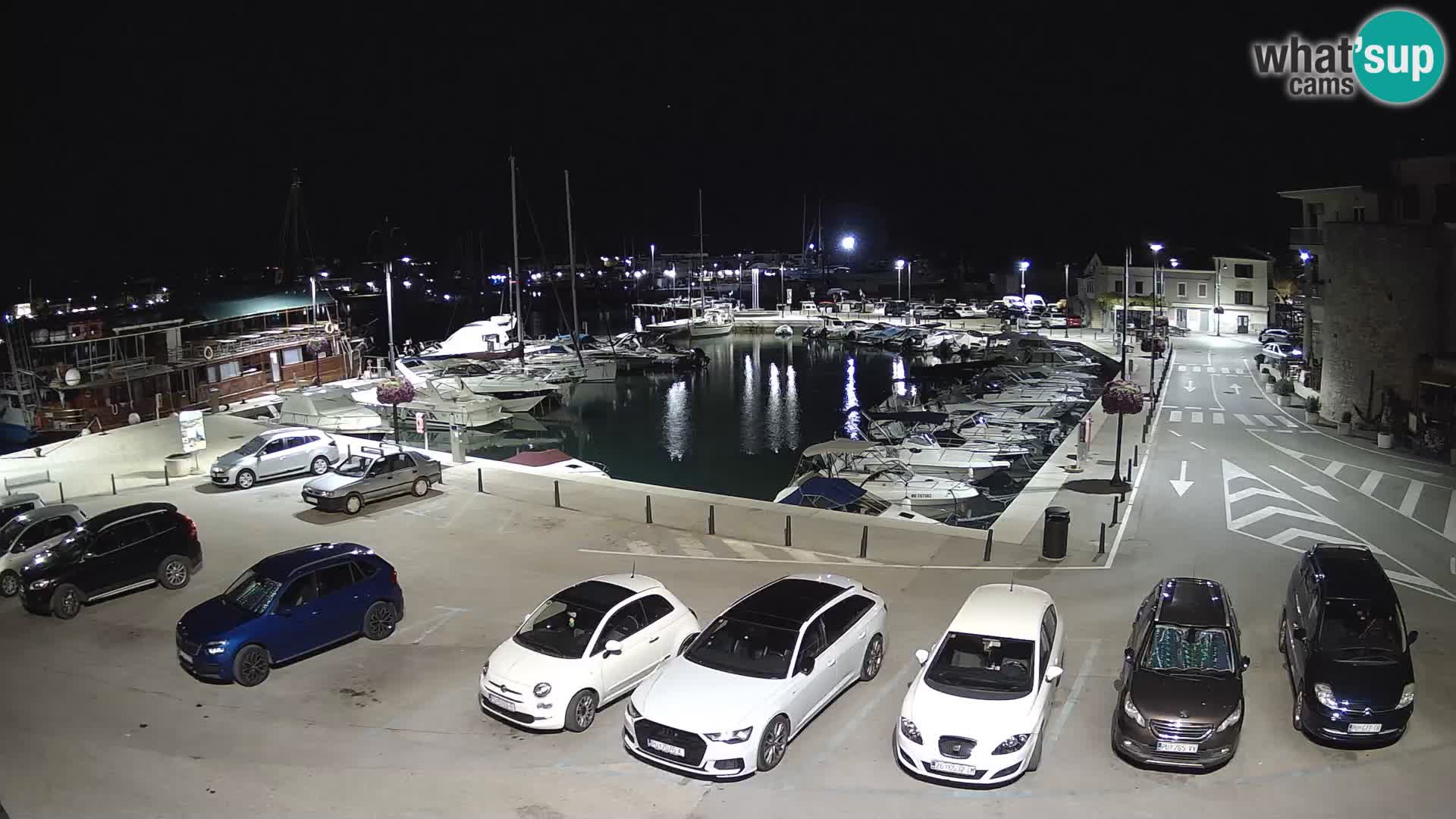 Novigrad | Porporela marina