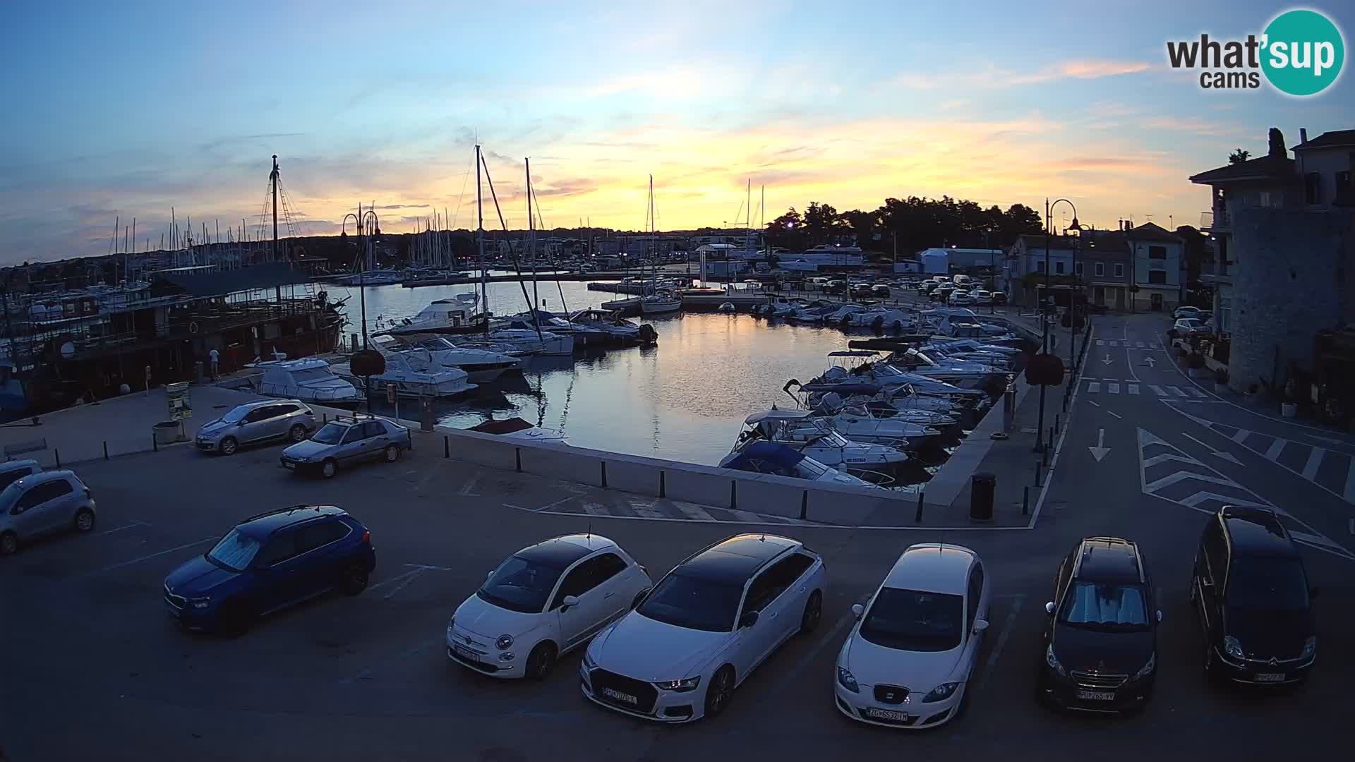 Novigrad | Porporela marina