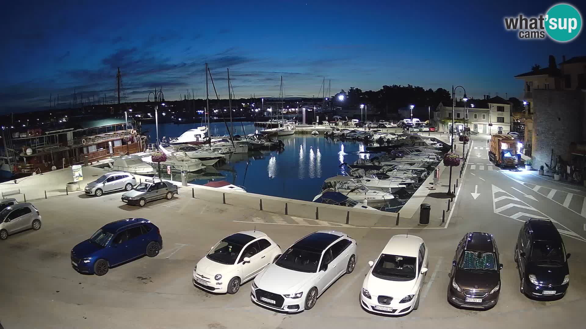 Novigrad | Porporela marina