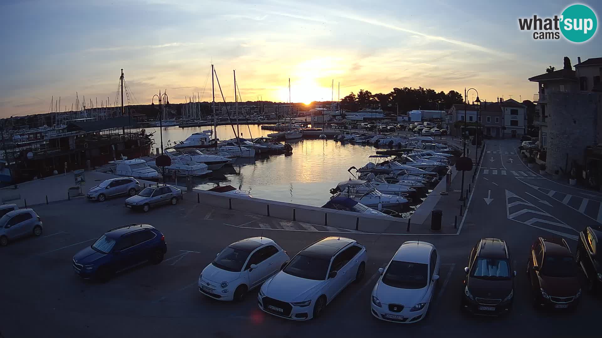 Novigrad | Porporela marina
