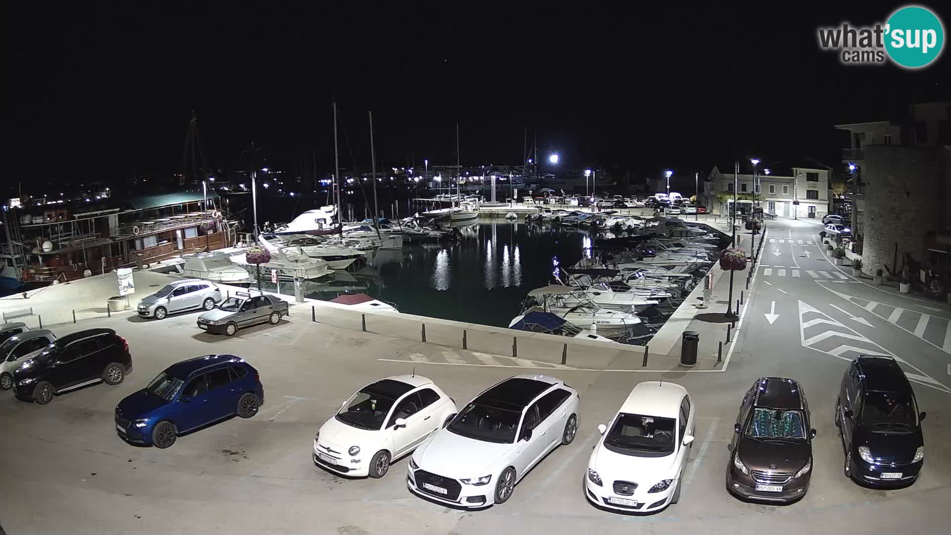 Novigrad | Porporela marina