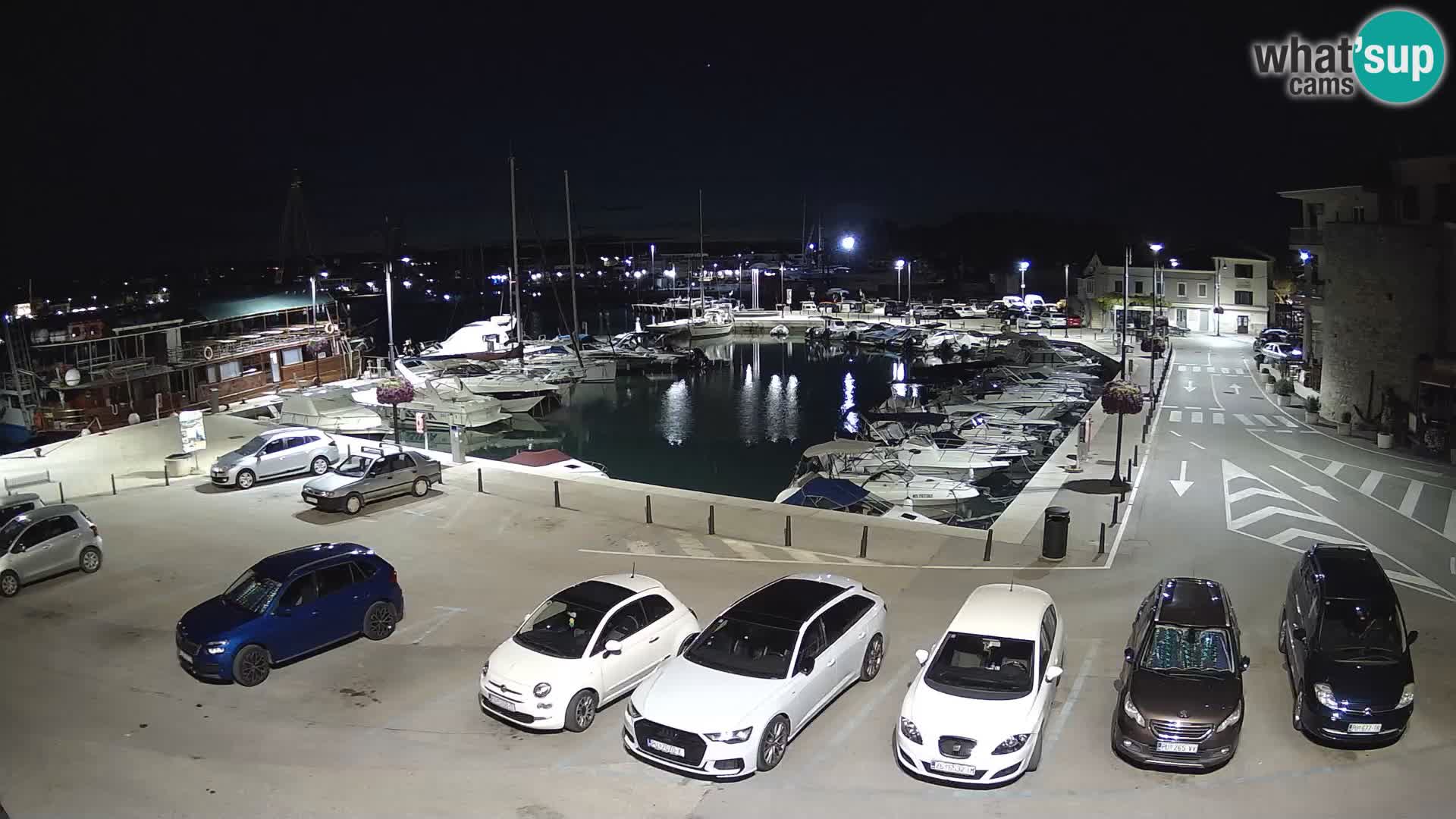 Novigrad | Porporela marina