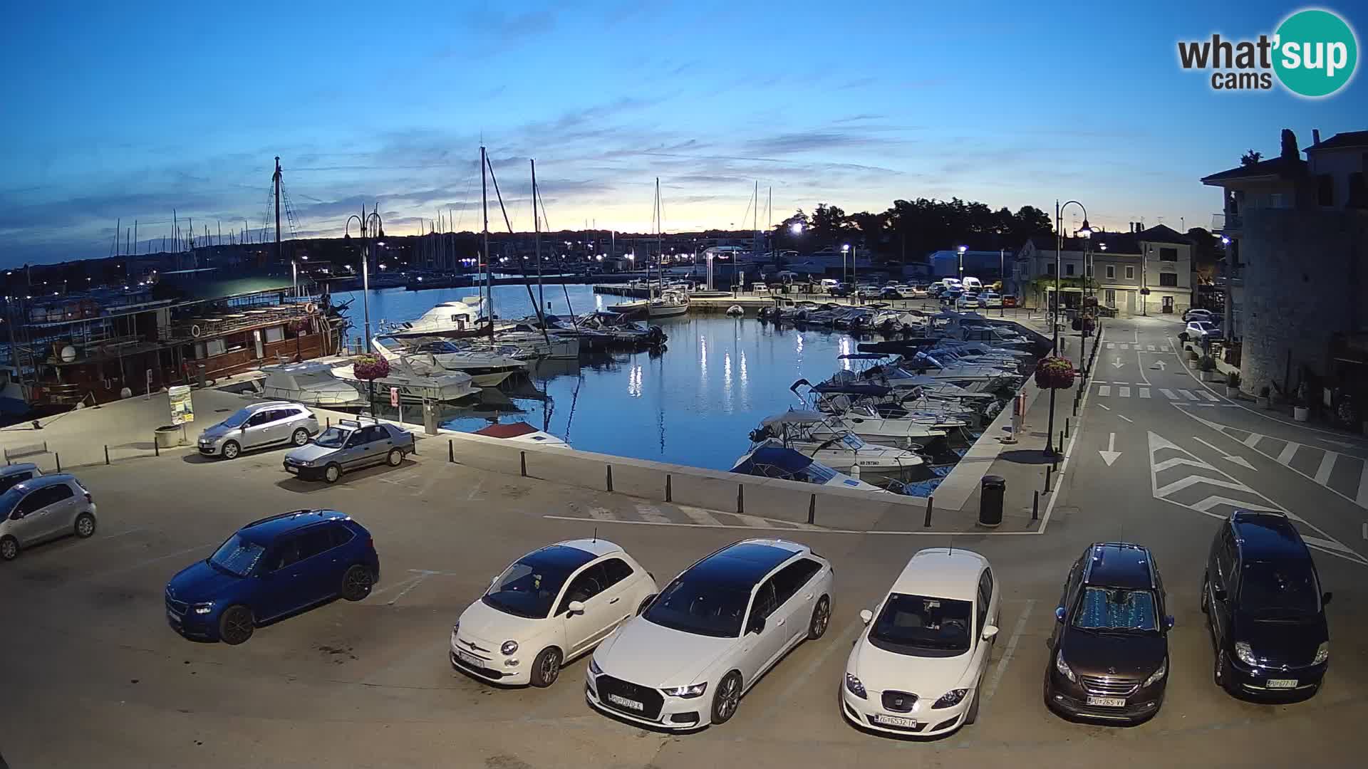 Novigrad | Porporela marina