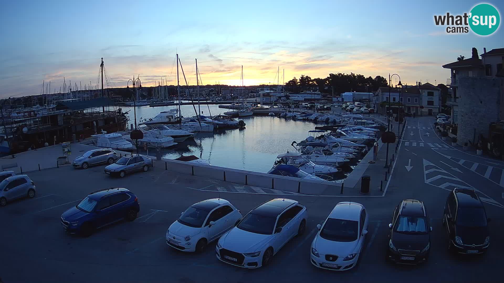 Novigrad | Porporela marina
