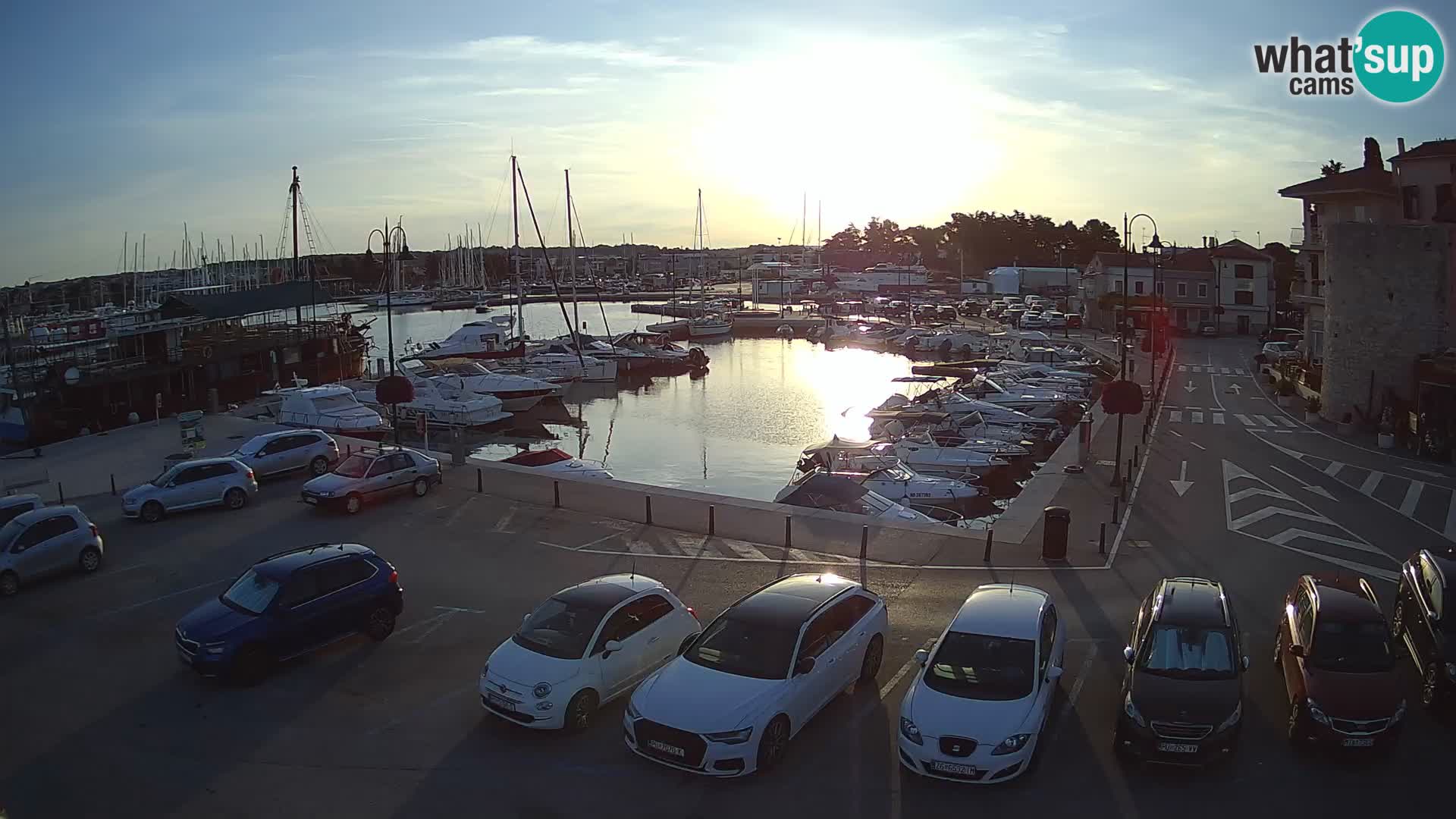 Novigrad | Porporela marina