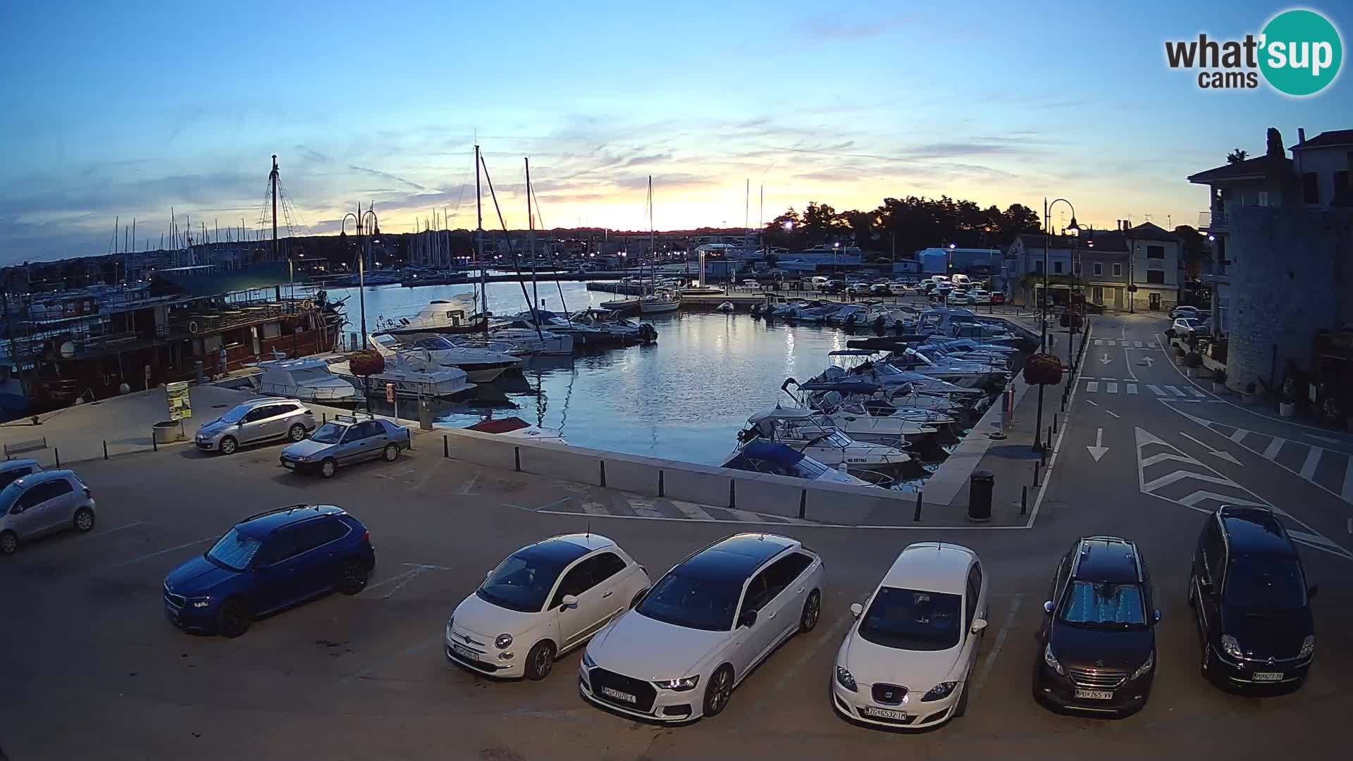 Novigrad | Porporela marina