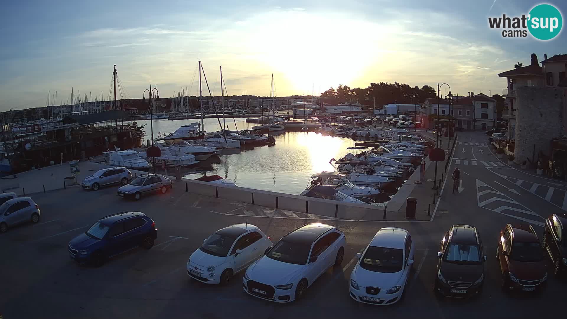 Novigrad | Porporela marina