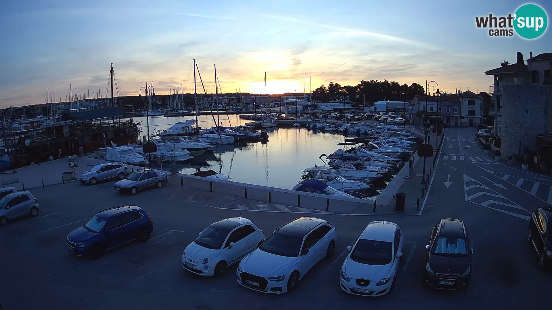 Novigrad | Porporela marina