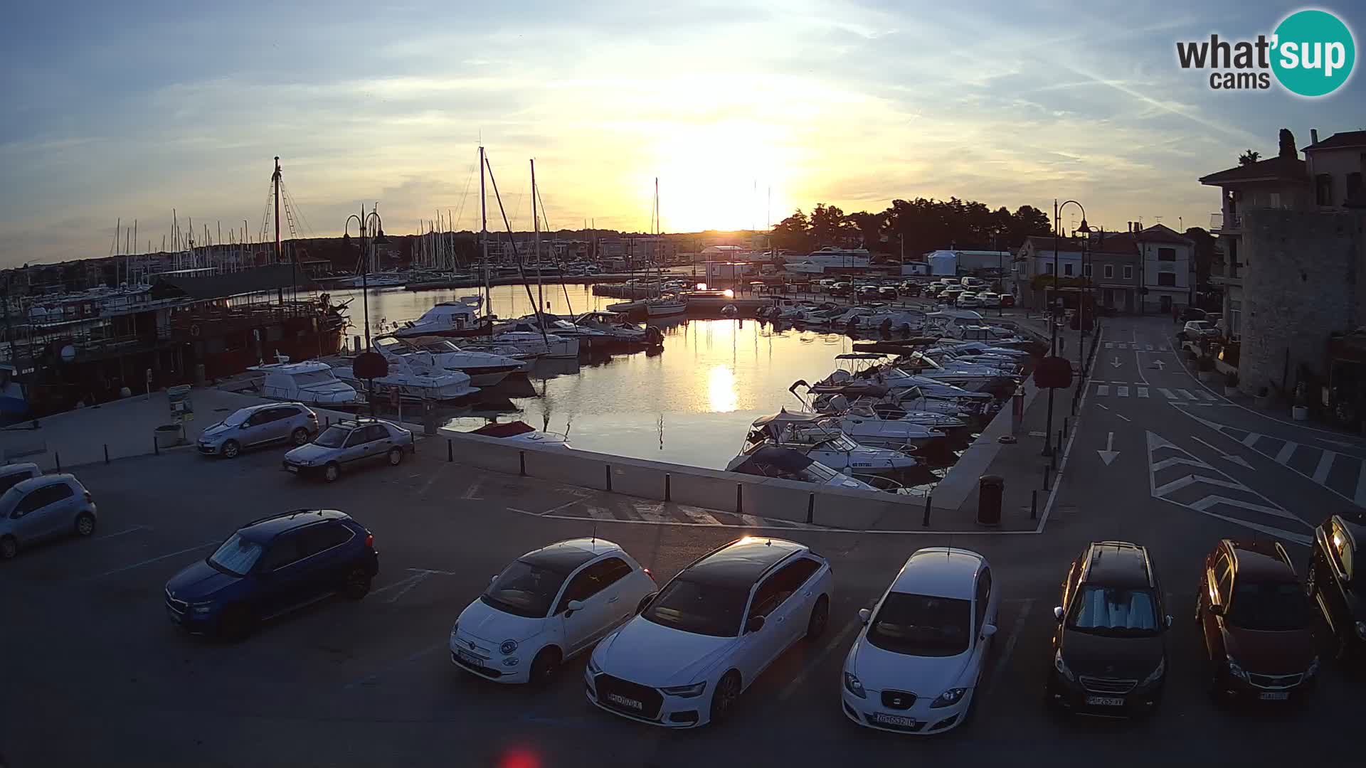 Novigrad | Porporela marina