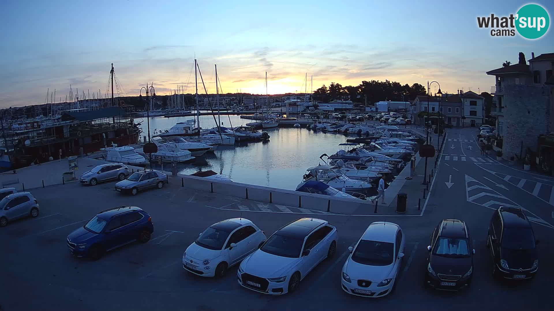 Novigrad | Porporela marina