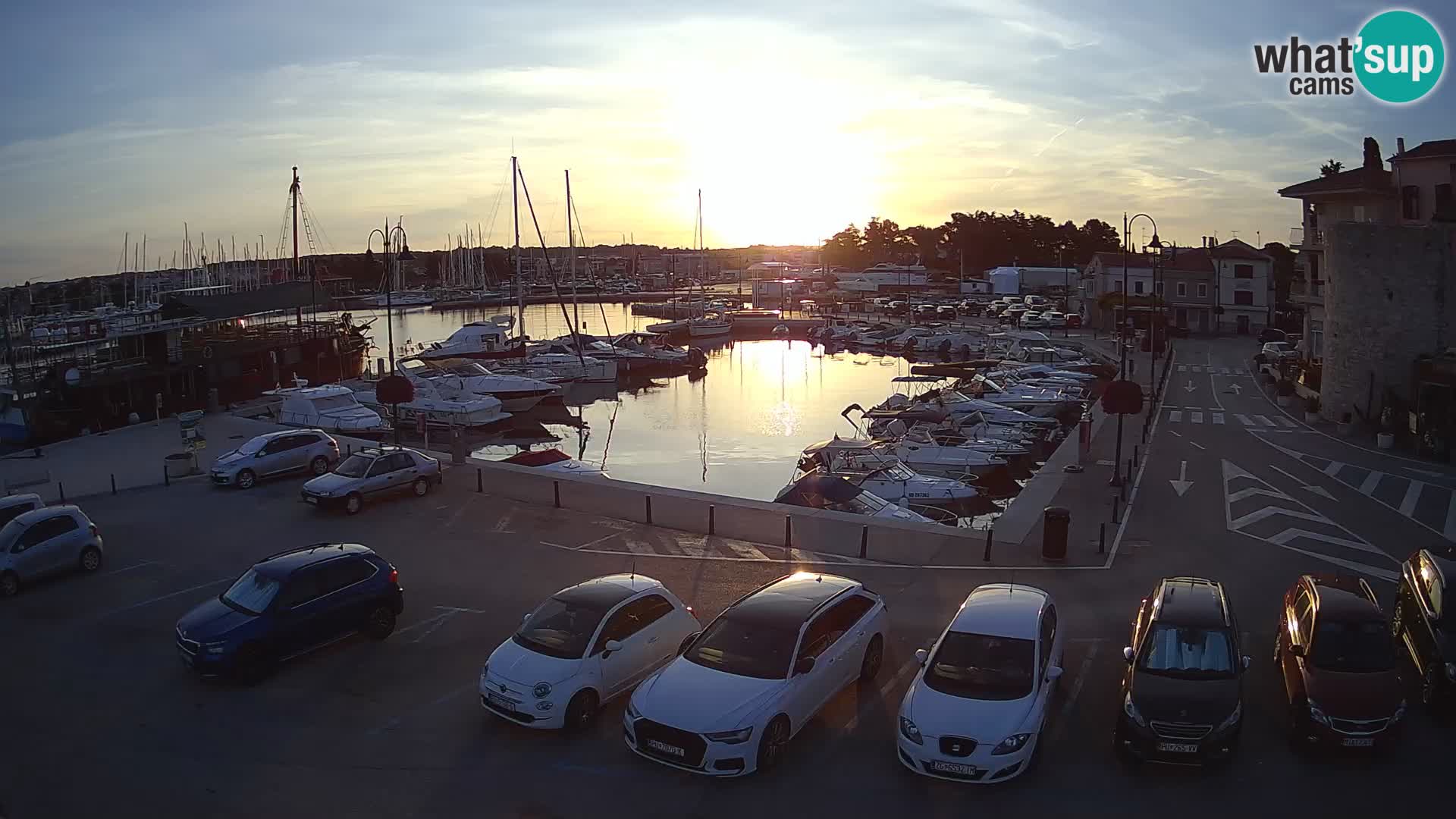 Novigrad | Porporela marina