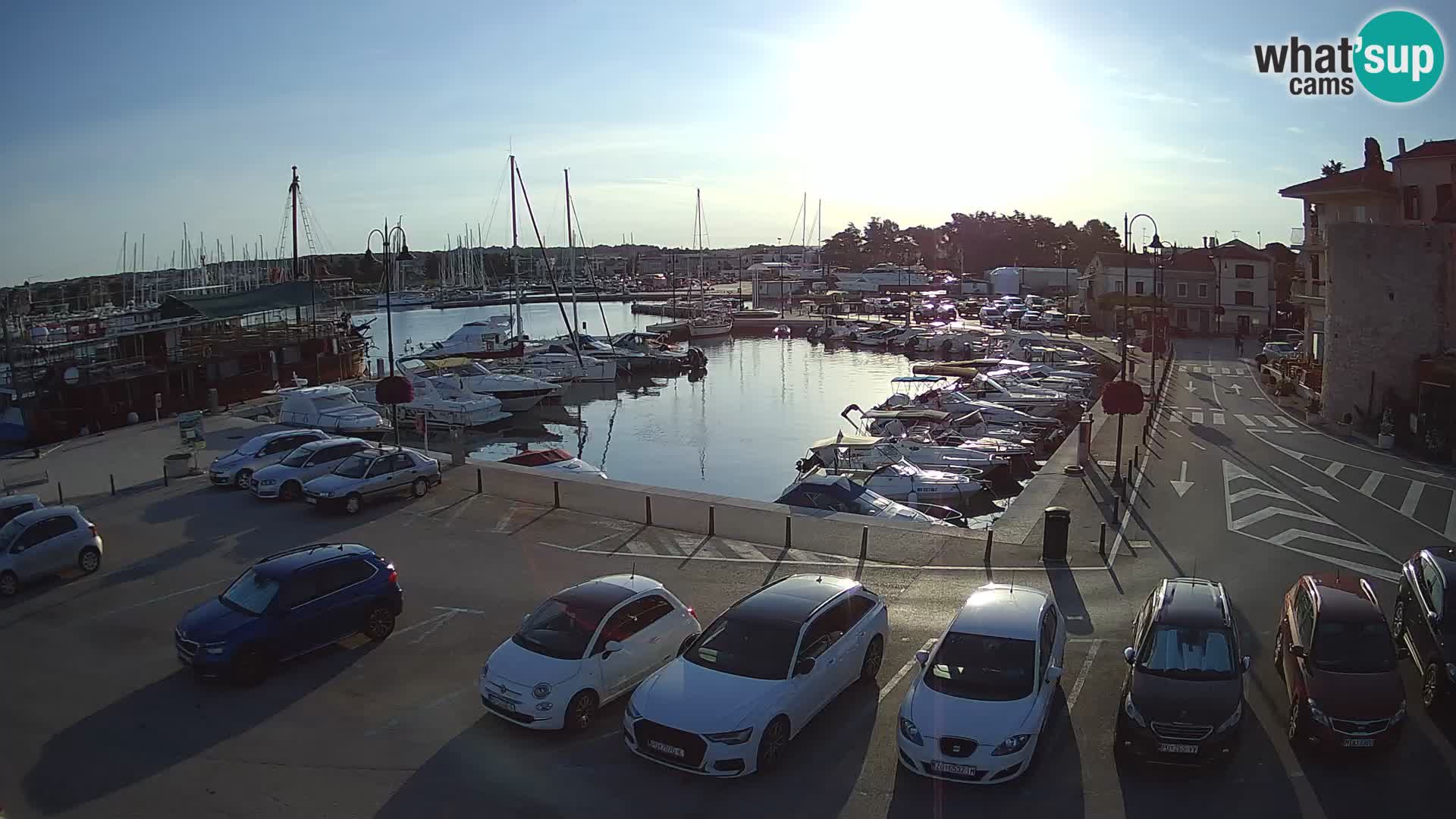 Novigrad | Porporela marina