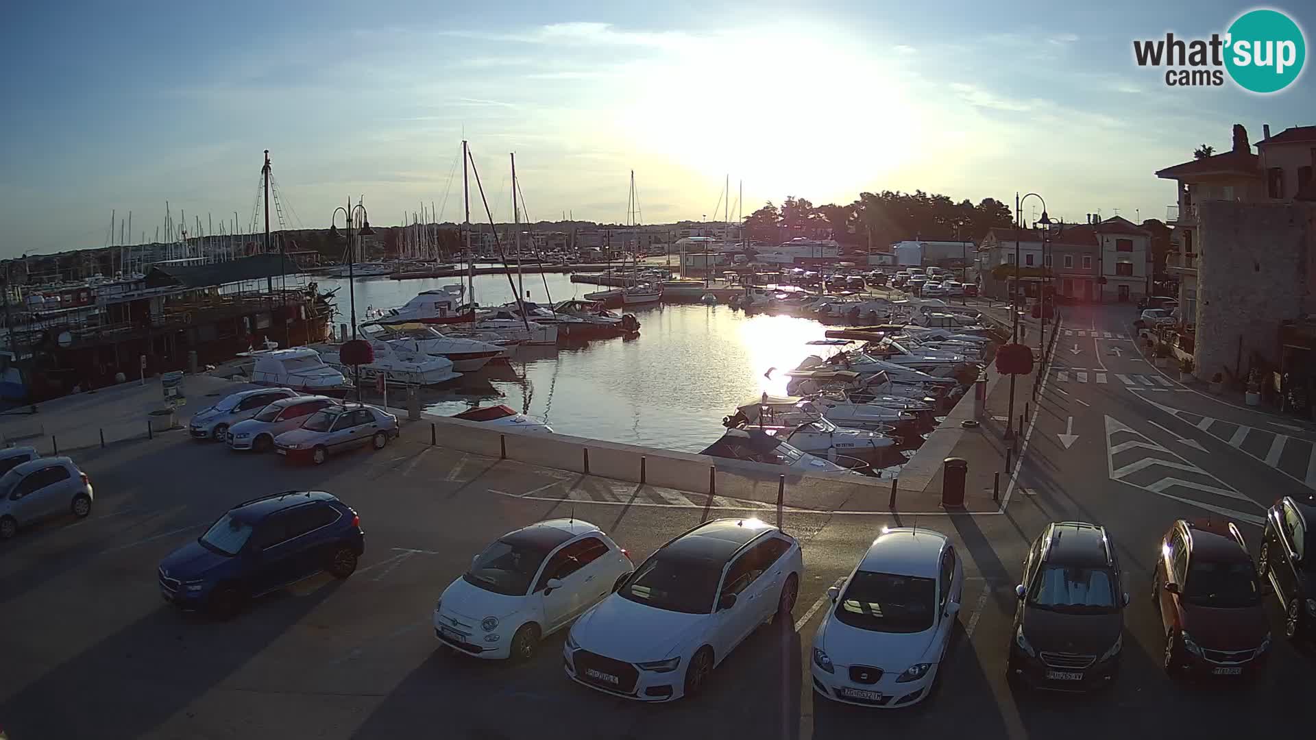 Novigrad | Porporela marina