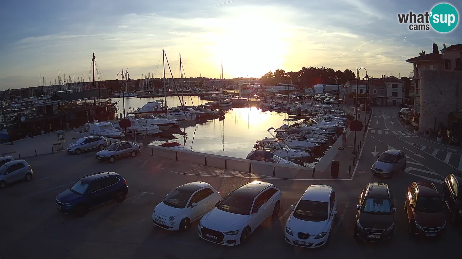 Novigrad | Porporela marina