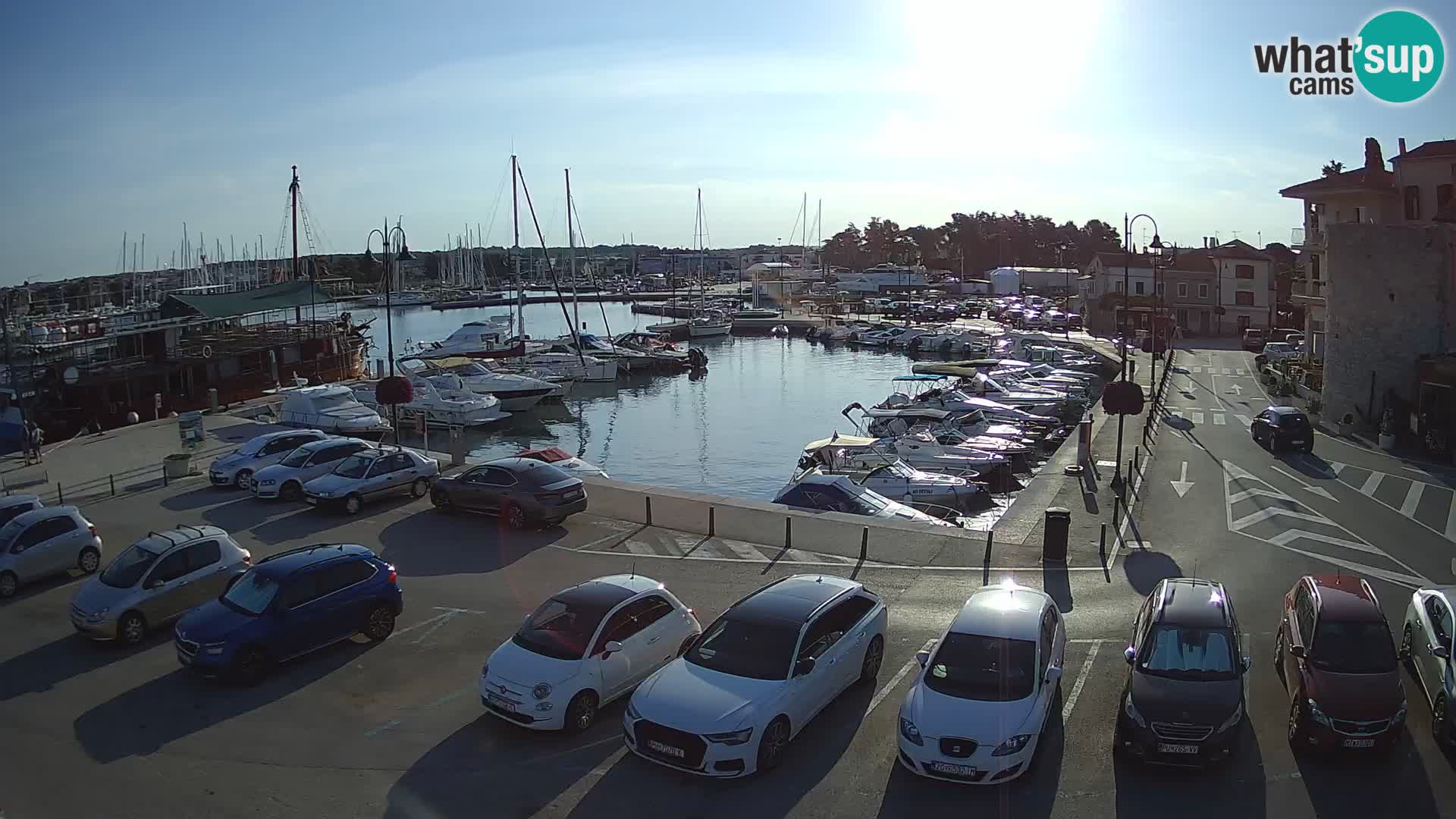 Novigrad | Porporela marina