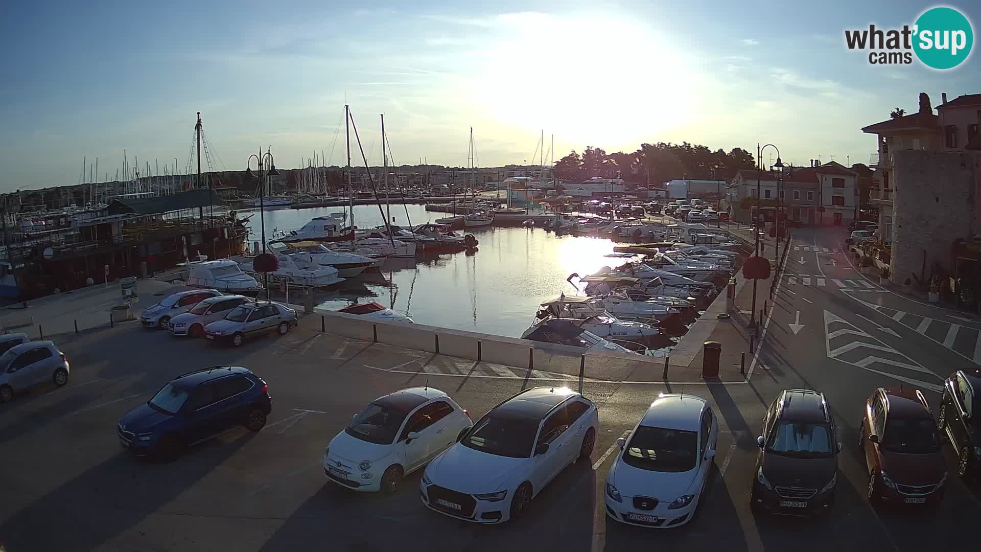 Novigrad | Porporela marina