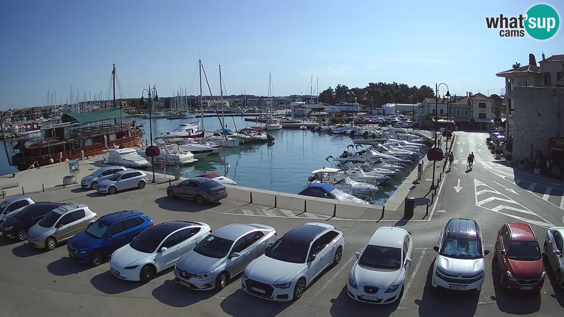 Novigrad | Porporela marina