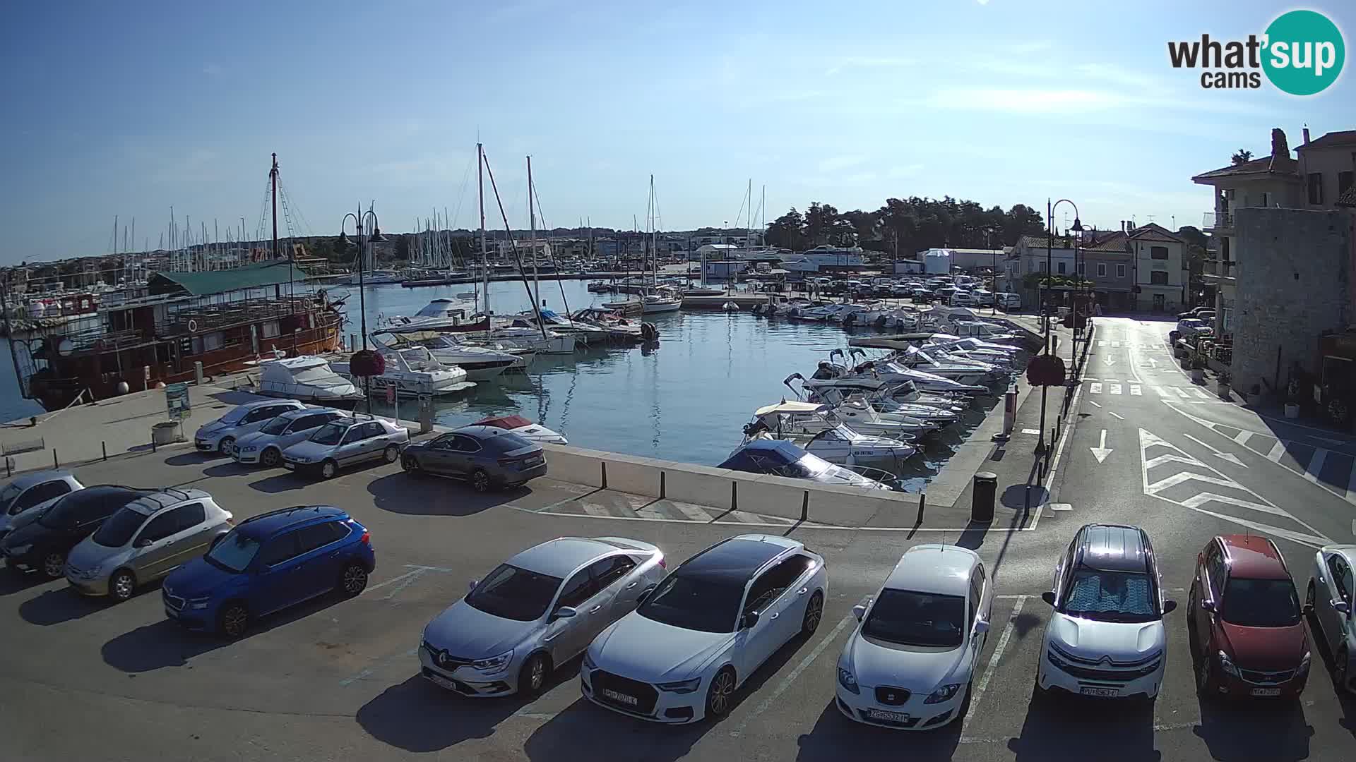Novigrad | Porporela marina